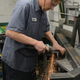 Illustration for article titled Social Media Guy @ BMW Indy Repair, Prt II